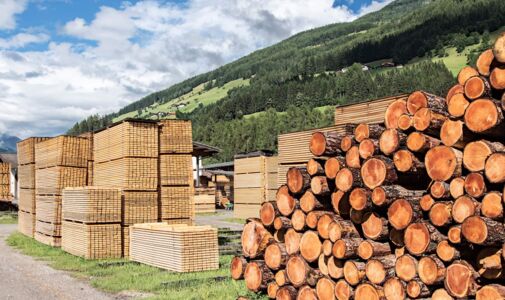 Holzindustrie Sägewerk mit Stapeln von Holz, Brettern und Stämmen